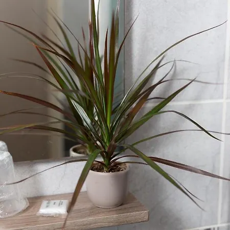 ホテル Logis-hotel & Restaurant Le Carnot ボルベック