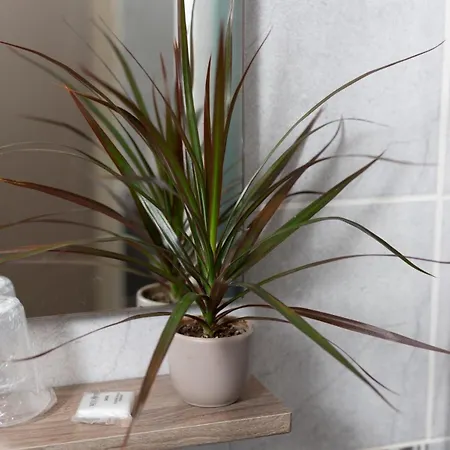 Hotel Le Carnot Bolbec