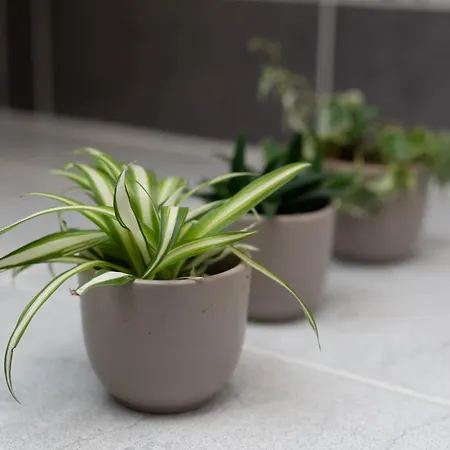 Logis-hotel & Restaurant Le Carnot ホテル ボルベック