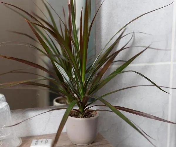 Hotel Logis-hotel & Restaurant Le Carnot Bolbec