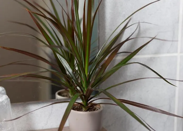 Hotel Logis-hotel & Restaurant Le Carnot Bolbec